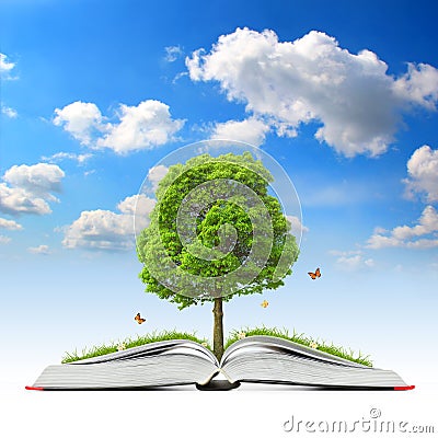 Open Book with Tree and Grass Stock Photo