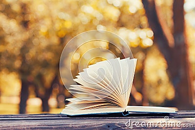 Open book on a wooden bench in autumn park. Reading, education and back to school concept. Stock Photo