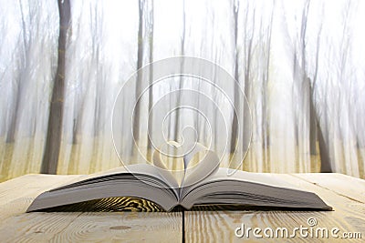 Open book at wooden table on natural blurred background. Heart books page. Back to school. Copy Space Stock Photo