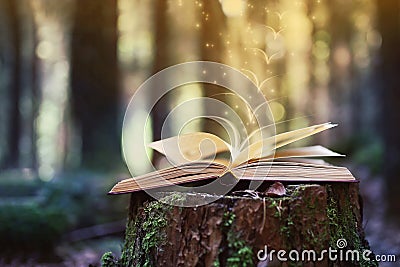 Open books outdoor. Knowledge is power. Book in a forest. Book on a stump Stock Photo