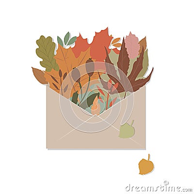 Open brown envelope made of paper. Inside, dry leaves of different trees and twigs. Autumn poster Vector Illustration