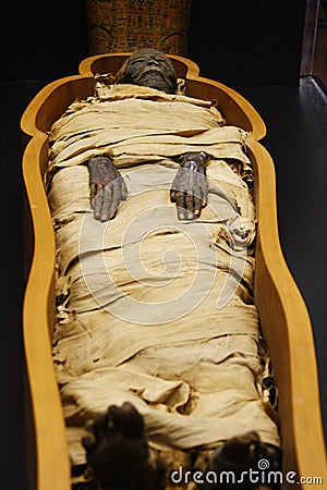 Open casket of Egyptian mummy Editorial Stock Photo