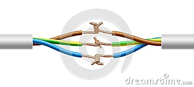 Open connection of two electric multicore cables structure. Vector realistic illustration Vector Illustration