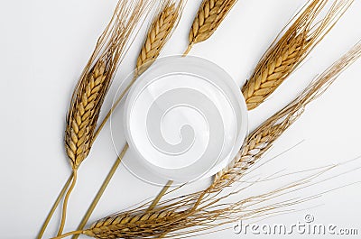 Open cream jar with wheat spikelets top view. Nourishing face mask with natural oat extract components. Moisturizing Stock Photo