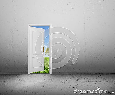 Open door to a new world, the green summer landscape. Conceptual Stock Photo