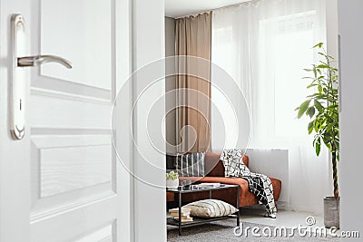 Trendy living room interior with big window, green plant and comfortable sofa Stock Photo