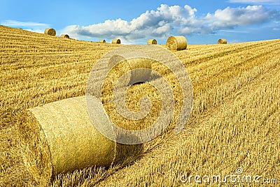 Open farmland Stock Photo