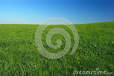 Open field Stock Photo