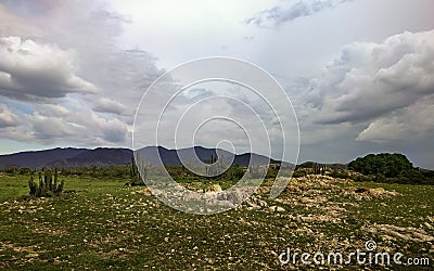 An Open Field near Magdalena Ocotlan, Oaxaca. Stock Photo