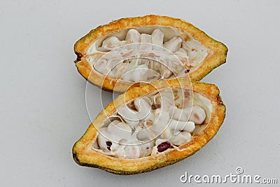 The open fruit of cocoa bean Stock Photo