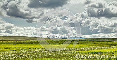 Open grassland with cloudscape and shield volcano in background. Iceland. Stock Photo