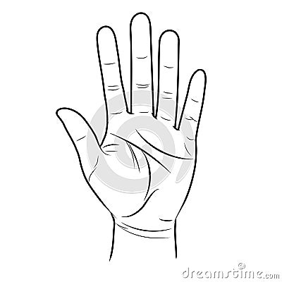 The open hand is lifted up. Divination by lines on the palm Vector Illustration