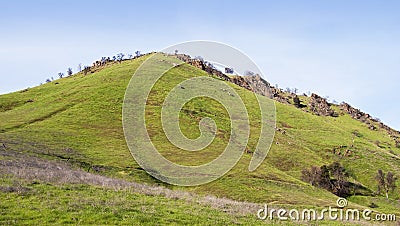 Open Hill Top with New Spring Grasses Stock Photo