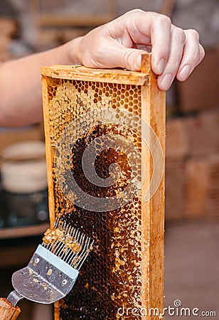 Delicious and healthy honey sealed in a honeycomb. Open honey in a bee wooden frame with a special tool. Long working knife for Stock Photo
