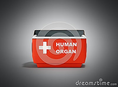 Open human organ refrigerator box red 3d render on grey Stock Photo