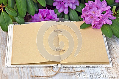 Open journal in rhododendron garden Stock Photo