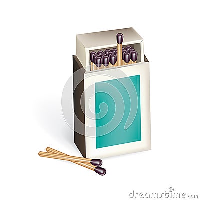 Open matchbox with matches Vector Illustration