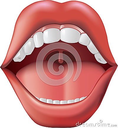 Open Mouth Vector Illustration