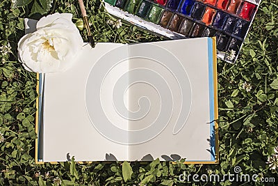 Open notebook with empty pages on a natural green clover background. Vintage, creative concept top view with watercolor Stock Photo