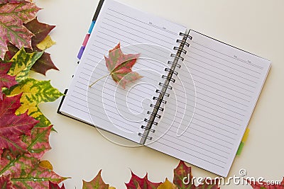 Open notebook, framed with autumn leaves on white background. Flat lay. Top view. Empty copy space for text Stock Photo