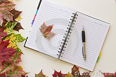 Open notebook, framed with autumn leaves on white background. Flat lay. Top view. Empty copy space for text Stock Photo