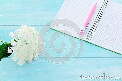 Open notebook with pink pen, coffeecup and hydrangea Stock Photo