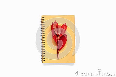 Open notepad with recycled pages and autumn red leaves. School o Stock Photo
