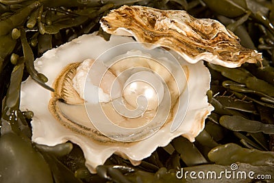 Open oyster with pearl Stock Photo