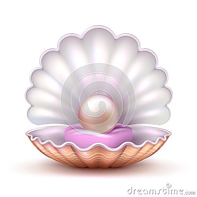 Open oyster sea shell with valuable pearl isolated. Realistic 3d vector illustration Vector Illustration