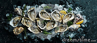 Open oysters Fines de Claire. Free space for your text. Seafood. Stock Photo