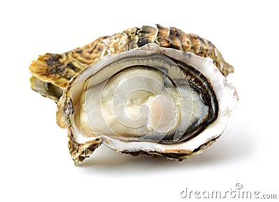 Open oysters Stock Photo