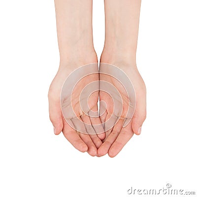 Open palms of the girl - a blank for design, close up of womans cupped hands showing something, top view. Isolate on a white backg Stock Photo