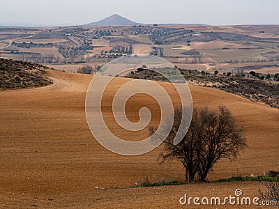 Open plain in Hita, Spain Stock Photo