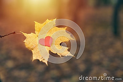 Open pure heart symbol, copy space Stock Photo