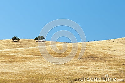 Open range grassy hillside Stock Photo