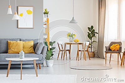 Open space living and dining room interior with gray sofa, wooden tables, white chairs and plants. Real photo Stock Photo