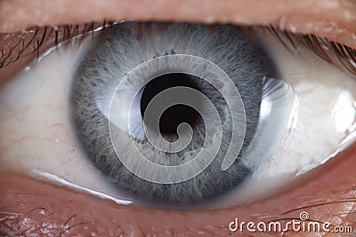 Open super macro enlargement of eyes looking at camera Stock Photo