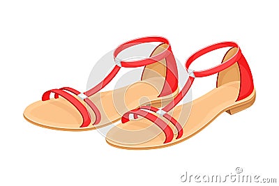 Open Toe Shoes or Peep-toes on Flat Sole as Summer Women Clothing Vector Illustration Vector Illustration