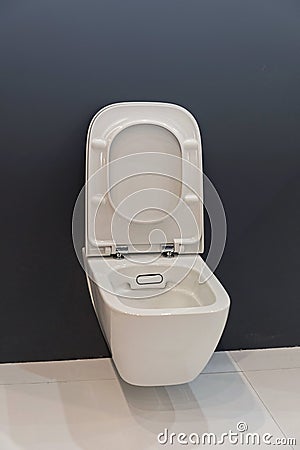 Open Toilet Seat Stock Photo