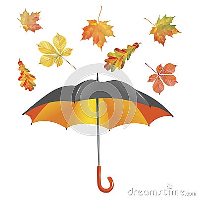 Open umbrella and leaf fall isolated on white background. Vector Illustration Stock Photo