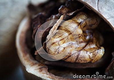 Open walnut macro texture Stock Photo