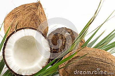 Open and whole coconuts and palm leaves Stock Photo
