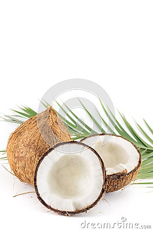 Open and whole coconuts and palm leaves Stock Photo