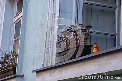 Open window looking out on windowsill with pots of dead dried flowers and bright orange detail Stock Photo