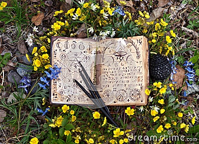 Open witch book with mystic symbols, black candles in flowers Stock Photo