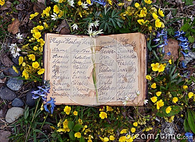 Open witch diary book with healing herbs and flowers list Stock Photo