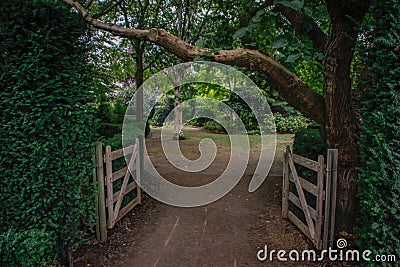 An open wooden gate on the farm leading into a bright cozy forest Stock Photo