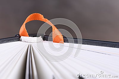 Opened agenda notebook with bookmark ribbon Stock Photo