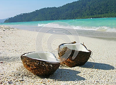 Opened coconut on the beach Stock Photo