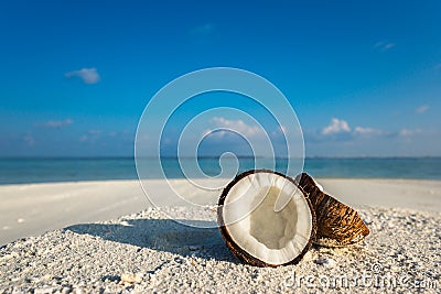 Opened coconut on the sandy beach of tropical island Stock Photo